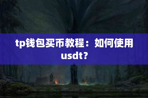 tp钱包买币教程：如何使用usdt？
