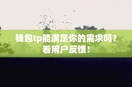 钱包tp能满足你的需求吗？看用户反馈！