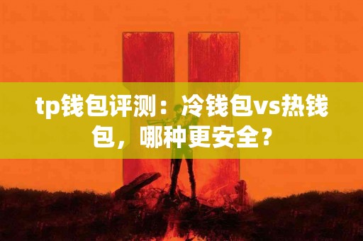 tp钱包评测：冷钱包vs热钱包，哪种更安全？