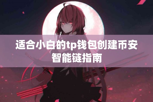 适合小白的tp钱包创建币安智能链指南