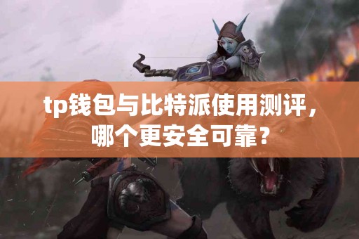 tp钱包与比特派使用测评，哪个更安全可靠？