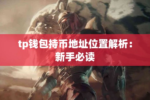 tp钱包持币地址位置解析：新手必读