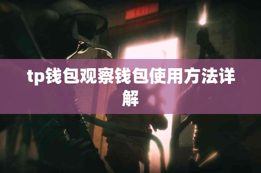 tp钱包观察钱包使用方法详解