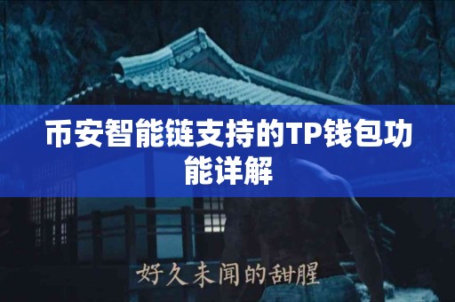 币安智能链支持的TP钱包功能详解