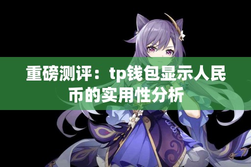重磅测评：tp钱包显示人民币的实用性分析