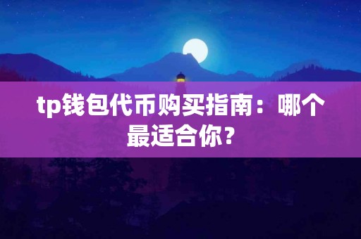 tp钱包代币购买指南：哪个最适合你？