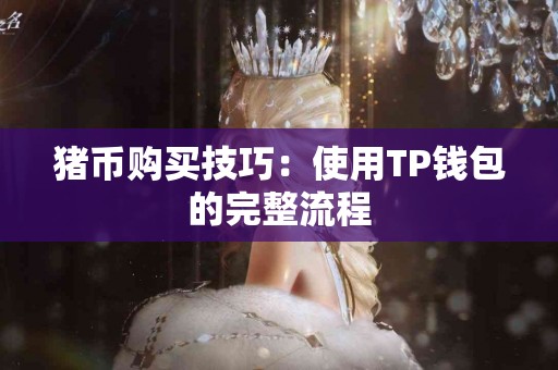 猪币购买技巧：使用TP钱包的完整流程