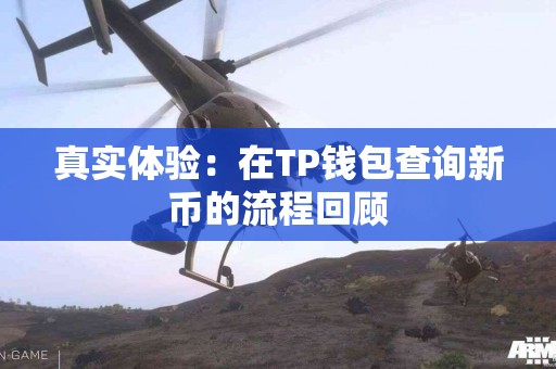 真实体验：在TP钱包查询新币的流程回顾