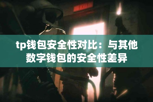 tp钱包安全性对比：与其他数字钱包的安全性差异