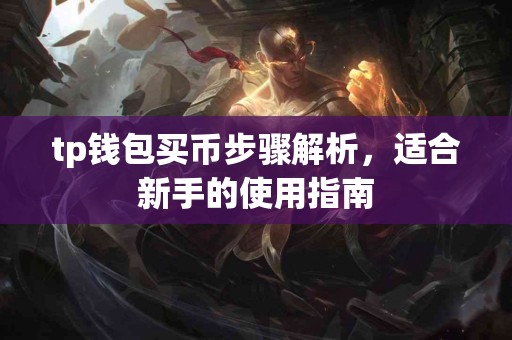 tp钱包买币步骤解析，适合新手的使用指南