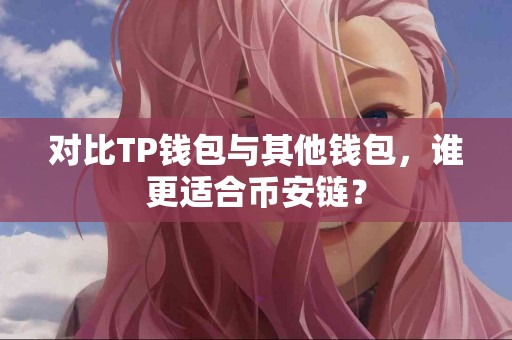 对比TP钱包与其他钱包，谁更适合币安链？