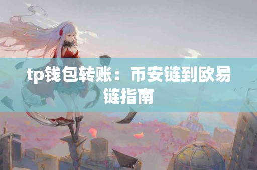 tp钱包转账：币安链到欧易链指南