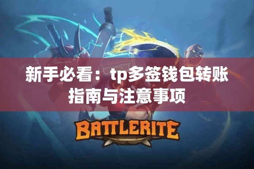 新手必看：tp多签钱包转账指南与注意事项