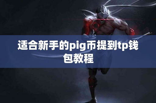 适合新手的pig币提到tp钱包教程