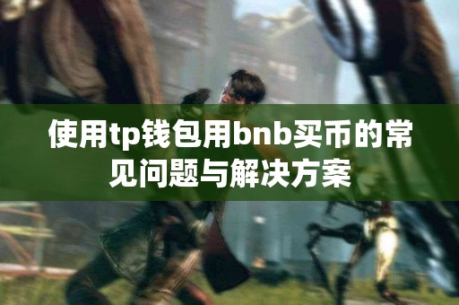 使用tp钱包用bnb买币的常见问题与解决方案