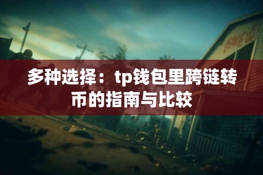 多种选择:tp钱包里跨链转币的指南与比较 多种选择:tp钱包里跨链转币的指南与比较