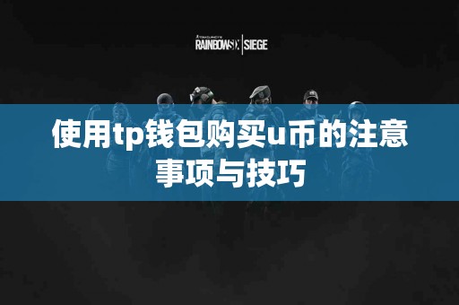 使用tp钱包购买u币的注意事项与技巧