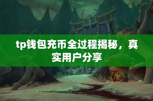 tp钱包充币全过程揭秘，真实用户分享