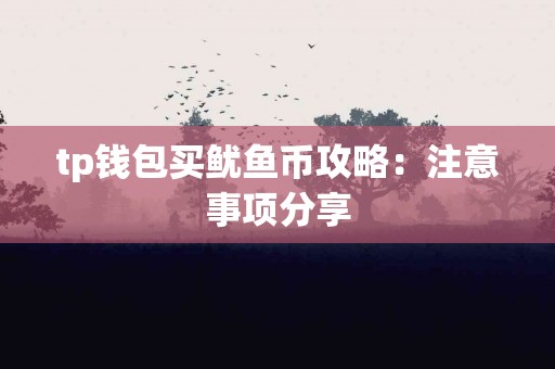 tp钱包买鱿鱼币攻略：注意事项分享