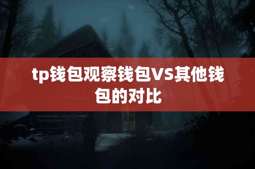 tp钱包观察钱包VS其他钱包的对比