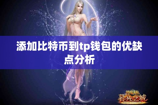添加比特币到tp钱包的优缺点分析